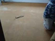 変換 ~ KIMG0740.jpg