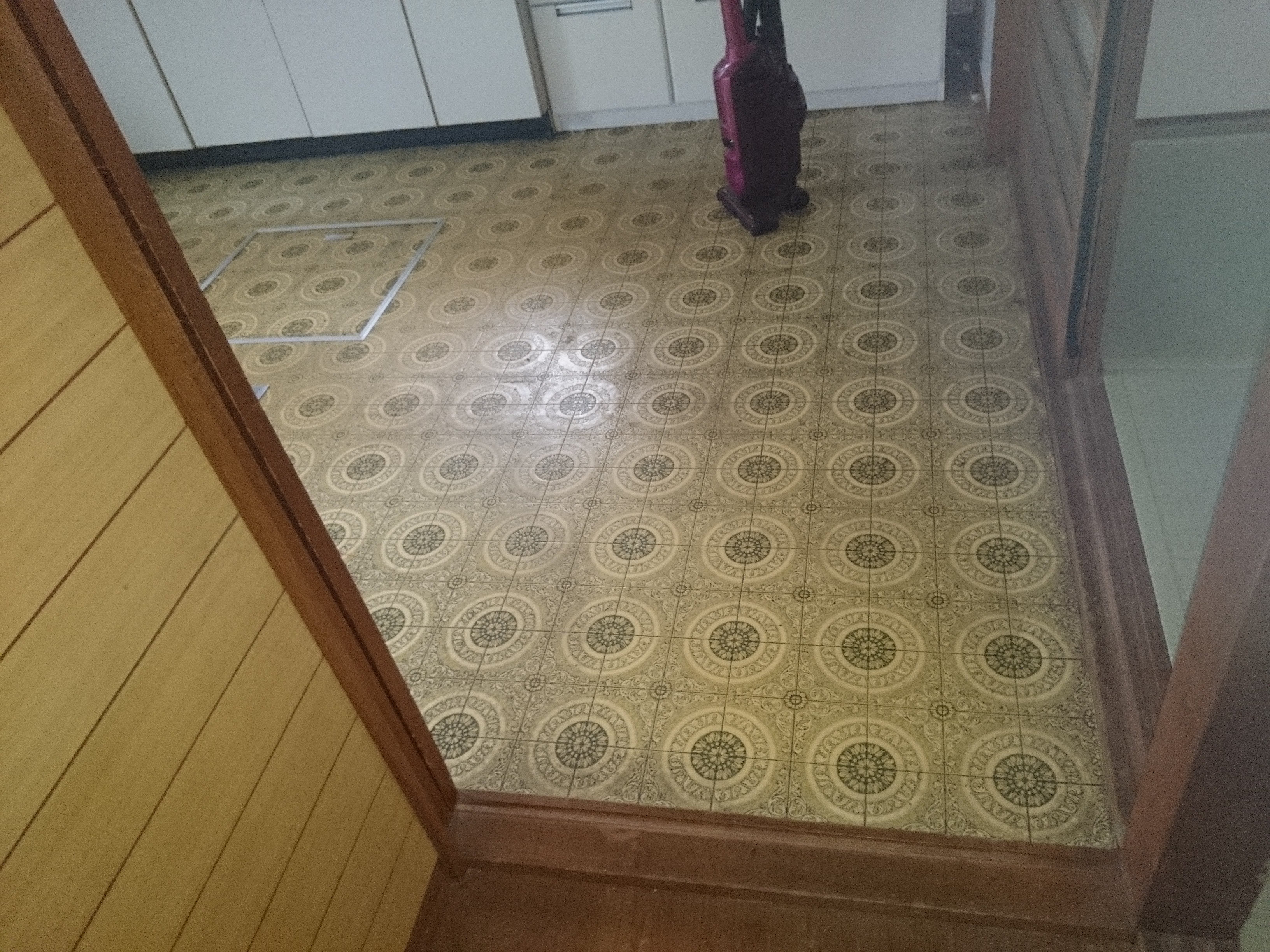 こにちゃんブログにヨメ登場！肉体労働もなんのその、筋トレしながら現場に参上！ガテン女子として頑張ります！！　