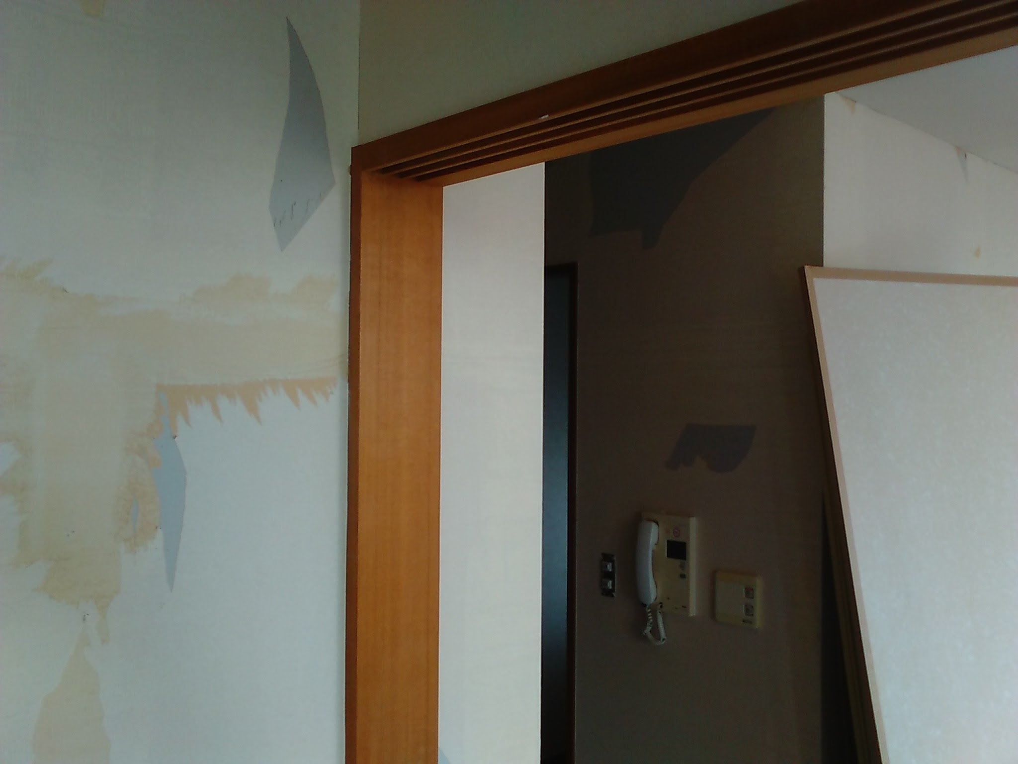 トイレから節水しよう。エコリフォームで地球にやさしく。そして、家事の負担もなくせちゃいます。 g