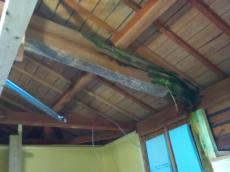 ほっカラリ床、エアインシャワー、魔法瓶浴槽はＴＯＴＯです。　