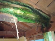 耐震補強、シロアリ対策など見えないところ大丈夫ですか？小西建築  