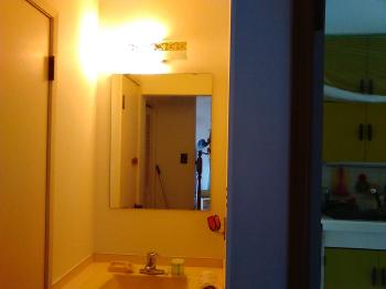 家庭でもミストサウナ！？ガス温水式ならできるんです。健康や美容にうれしい本格派。