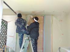 ペットの足腰を守る床、滑りにくいフローリングでもっと楽しいペットライフを 小西建築