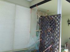 調湿壁材で快適な空間を。乾燥対策や結露防止、匂いを吸収する効果もあります。