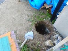 ペットの足腰を守る床、滑りにくいフローリングでもっと楽しいペットライフを 小西建築