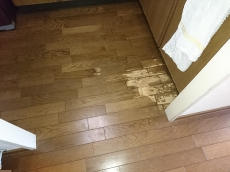 部屋と庭をつなぐオーニング。外壁工事が不要な後付タイプも登場しています。