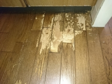 家を大事にする人はエクステリアにもこだわりを持っています。木や草花を組合せ季節を感じる庭っていいですよね。