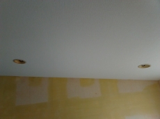 軽くて強いストーンチップ屋根。メンテナンス性が良く長寿命。しかも天然素材なので自然な風合いが魅力です。