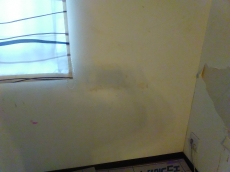 自律神経を整える家づくり、ゆらぎのリズムが脳の疲れを癒します。ゆらぎを空間に取り入れるには... 