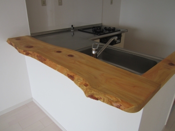 段差やすき間のないキッチン、ごみが勝手に流れるシンク、フラットなコンロそんなキッチンでお料理しませんか