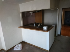 電気をつくるときに出た熱でお湯を沸かす。電気も作りすぎないように自動で調節する。それがエネファームのエコシステムです。