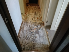 電気をつくるときに出た熱でお湯を沸かす。電気も作りすぎないように自動で調節する。それがエネファームのエコシステムです。