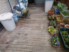 トイレはやっぱりTOTO。きれい除菌水でいつもきれい