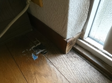 クリナップキッチンキャンペーン　プロが選ぶキッチンが3名様に当たります。