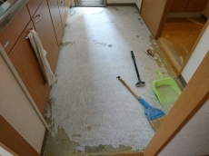 こにし自宅リフォーム中。解体、壁塗りなどやってみたい人はご参加ください