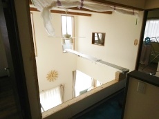 トイレリフォームの費用は20~50万円ぐらいです。便器のグレード、配管変更、床下補修、インテリアの追加工事などでかわります。