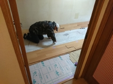 窓からの冷気ヒヤ～っとしてていやですね。暖房効率を下げてしまいます。2重サッシや複層ガラスで　