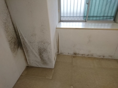 外壁は自然塗料で地球にやさしく、暮らす人にもやさしく