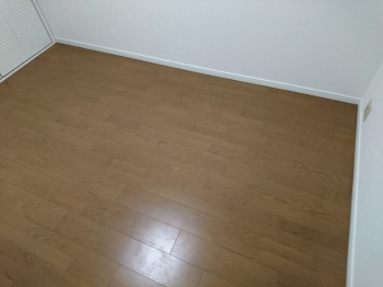 シンクのお悩み 排水溝のトラップのぬめり トラップなしができました!