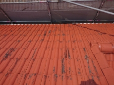 屋根　外壁塗装　シロアリ　ご相談下さい　小西建築