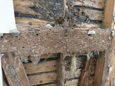 明石　二見　加古川　リフォーム　小西建築　新築　店舗改装　増改築