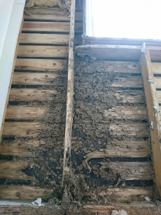 ミラブルですべすべのお肌に　ウルトラファインバブル