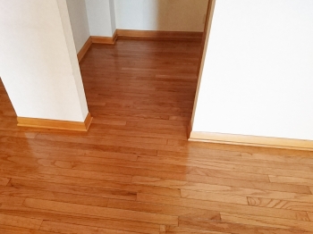 ミラブル 水分量8%アップ! しっとりすべすべの素肌に