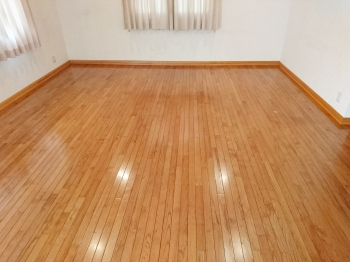 ミラブル 一度使えばわかる 髪もつるんと。思わず触りたくなる