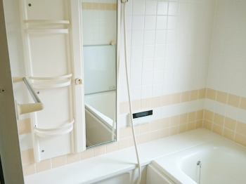 ミラブル ウルトラファインミストが毛穴の中まで浸透し黒ずみを取り除く!