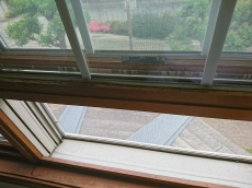 ミラブル ウルトラファインミストが毛穴の中まで浸透し黒ずみを取り除く!