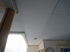  外壁・屋根塗装はご一緒に。10年から15年を目安に塗り直しましょう 