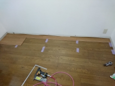 靴箱をクローゼットタイプにすれば靴以外もたっぷり入ってすっきり玄関に