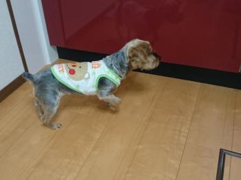 水周り洗面台入れ替えトイレ入れ替えシステムキッチン入れ替えユニットバス入れ替え