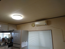 ペットドアでどこでもドア。好きな時に出入りできて、飼い主さんもペットもうれしいですね。