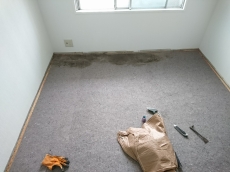 自動で開くトイレのフタは衛生的。中腰に屈む必要もないので腰の調子の悪い方におススメです。